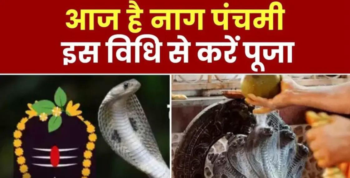 सावन महीने की पंचमी तिथि इस साल 29 जुलाई 2025 को है। इस दिन नागों की पूजा की जाती है। मान्यता है कि ऐसा करने से सर्प दंश यानी सांपों के काटने का भय नहीं रहता है।कैसे करनी है नाग पंचमी की पूजा, नोट कीजिए विधि और सामग्री
