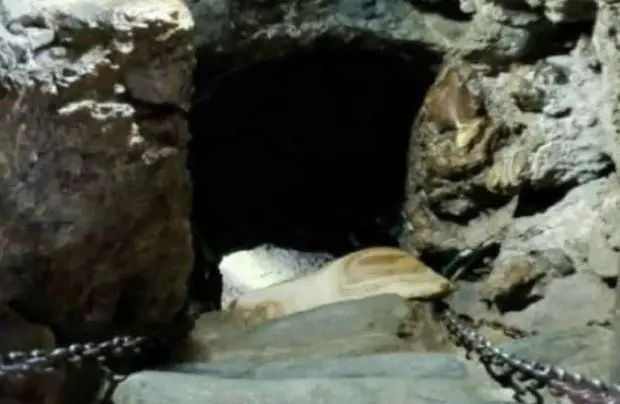 उत्तराखंड की गोद में बसे अनगिनत रहस्यमय स्थानों में से एक है पाताल भुवनेश्वर मंदिर. यह मंदिर ना सिर्फ धार्मिक दृष्टि से महत्वपूर्ण है, बल्कि अपने रहस्यों और प्राकृतिक संरचना के कारण यहां आने वाले हर व्यक्ति को चौंका देता है.